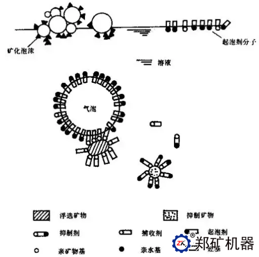 药剂和矿浆的作用原理