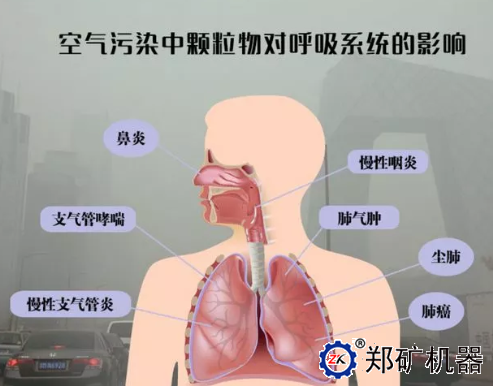 空气污染对环境的影响